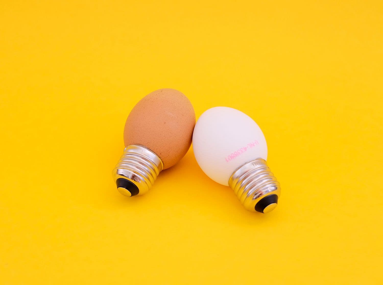 Egglamp
