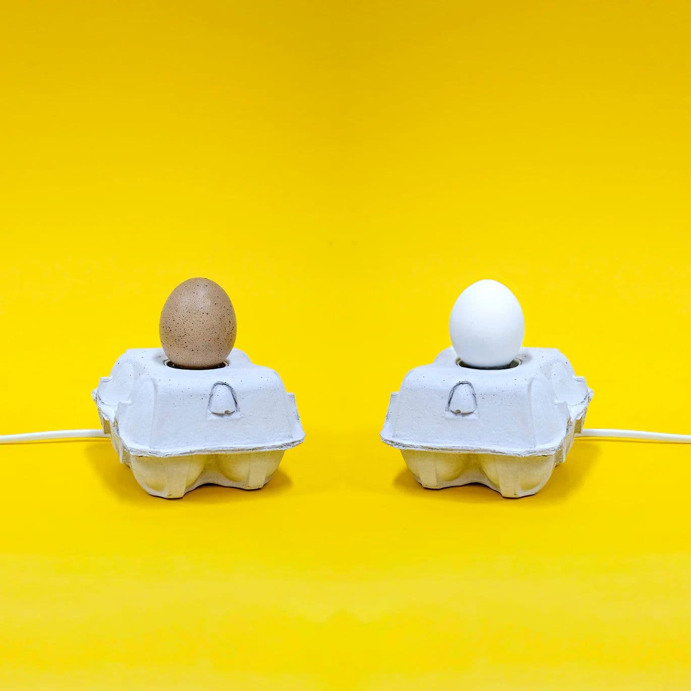Eggbox lamp base
