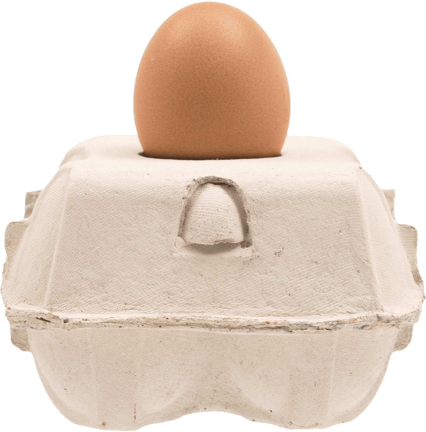 Eggbox lamp base — White